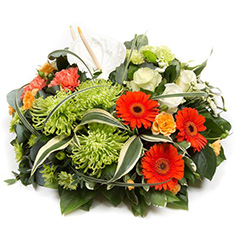 Clustered Posy