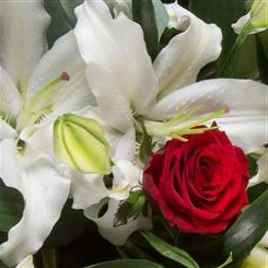Florist choice ECO dry hand tied bouquet 