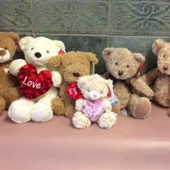 Valentines bears 