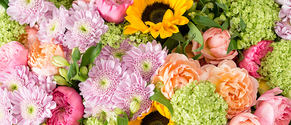 Seasonal Summer Flowers