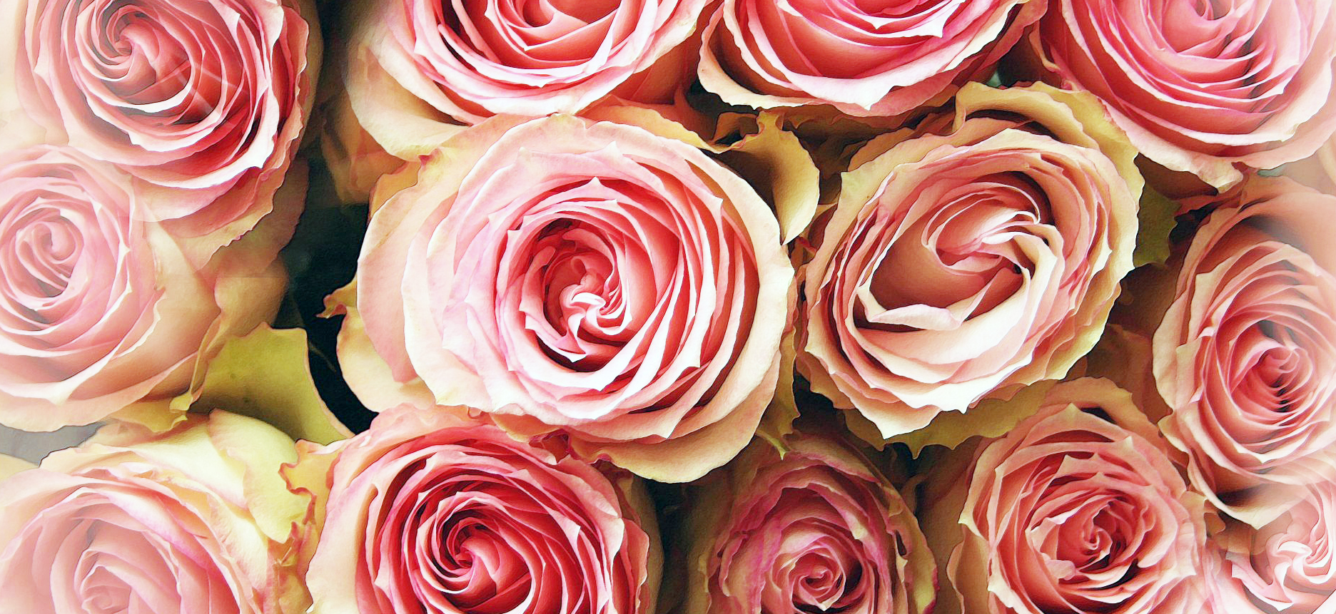 Seasonal Flowers